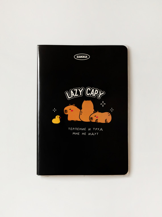 Тетрадь А5 в пластиковой обложке Lazy capy