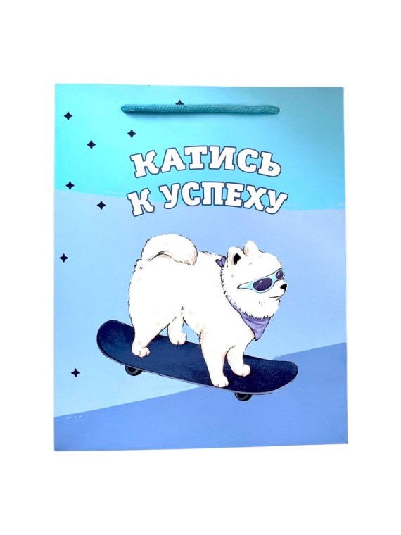 Пакет подарочный "Катись к успеху"