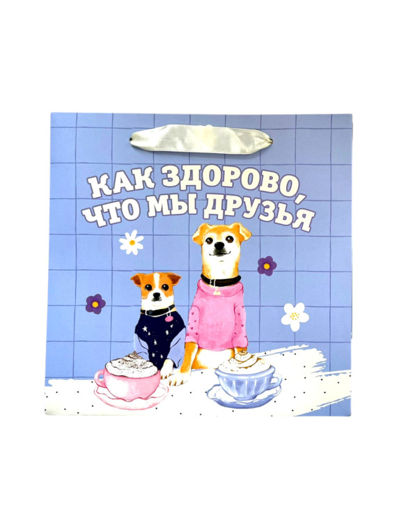 Пакет подарочный "Как здорово, что мы друзья"